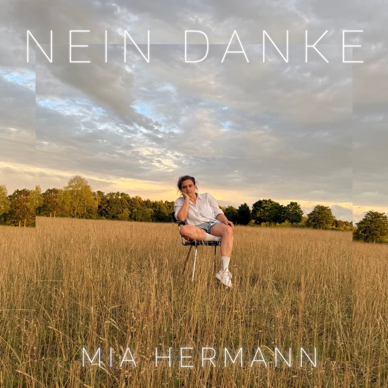 Cover: Nein danke