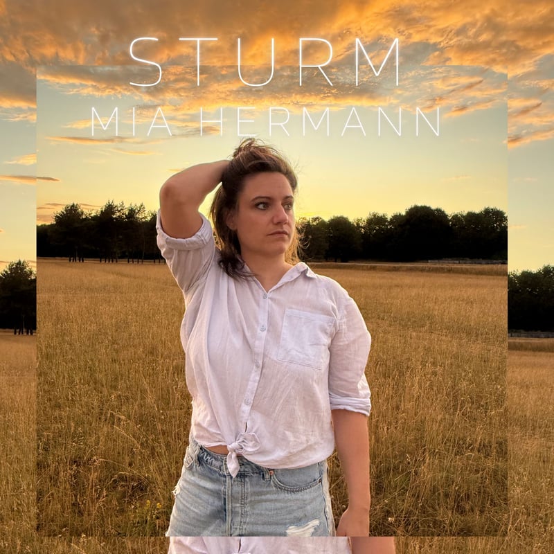Cover: Sturm